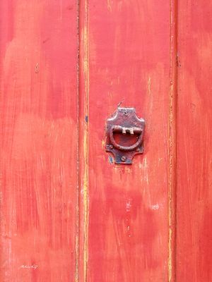 DETALHE DE PORTA - XXXV