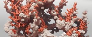 ARTE CORAL 2 BY AL