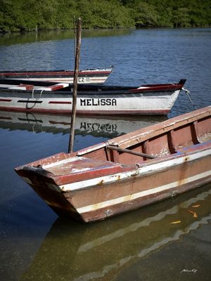 CANOAS DE ITAMARACÁ