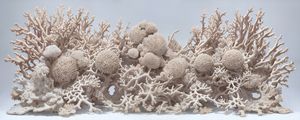 ARTE CORAL 3 BY AL