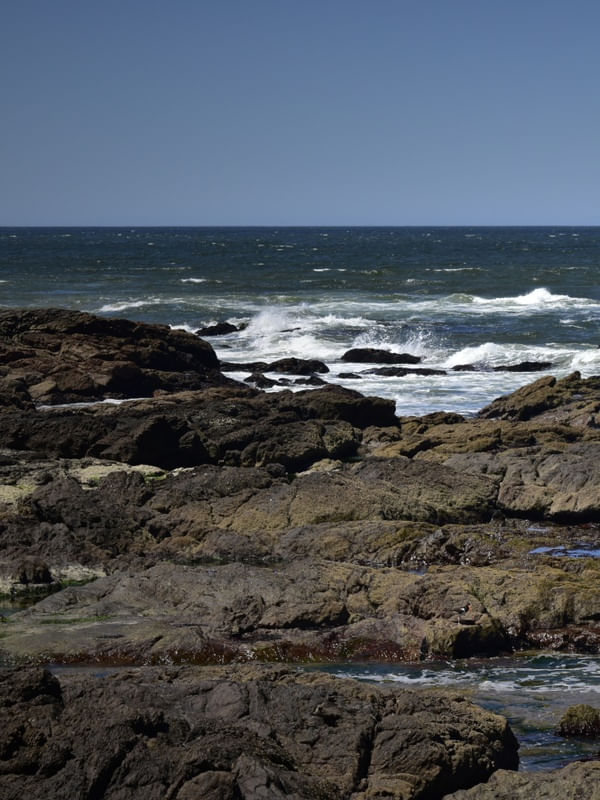 ROCHAS MARINHAS (DÍPTICO 1-2)