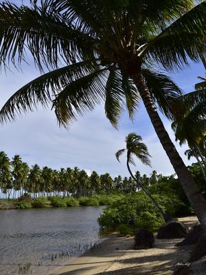 REFÚGIO DE VERÃO