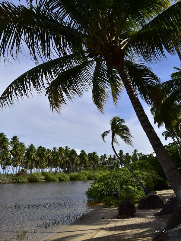 REFÚGIO DE VERÃO