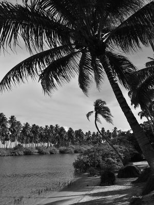 REFÚGIO DE VERÃO (PB)