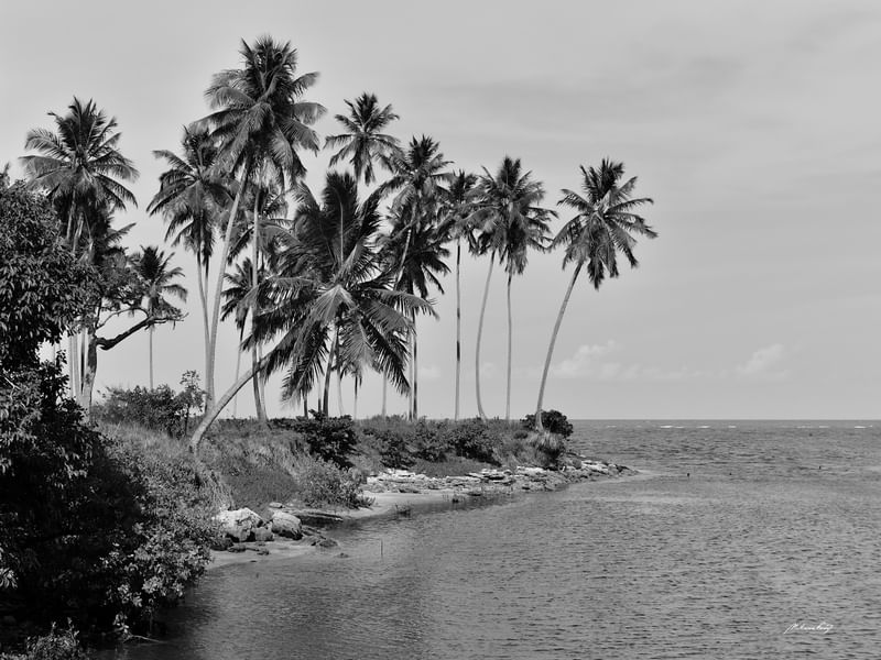 NA FOZ DE UM RIO (PB)