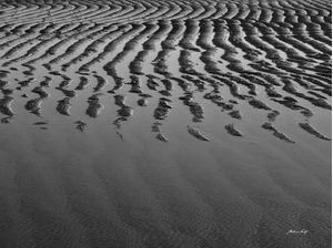 AS ONDAS DA AREIA (PB)
