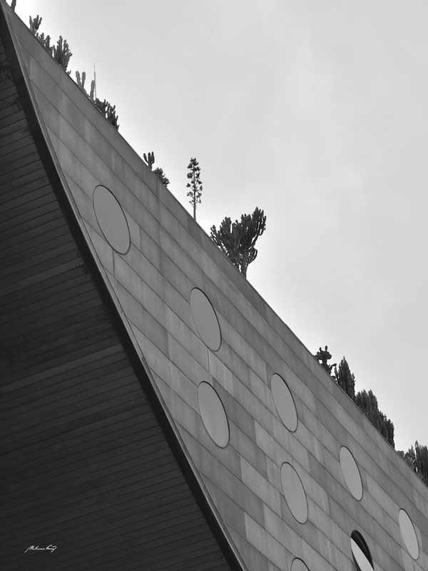 ARQUITETURA E NATUREZA