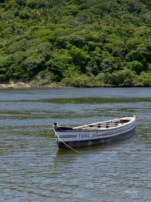CANOA ANCORADA