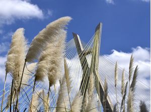 PONTE ESTAIADA - SÃO PAULO