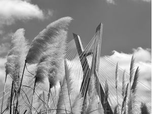 PONTE ESTAIADA - SÃO PAULO (PB)