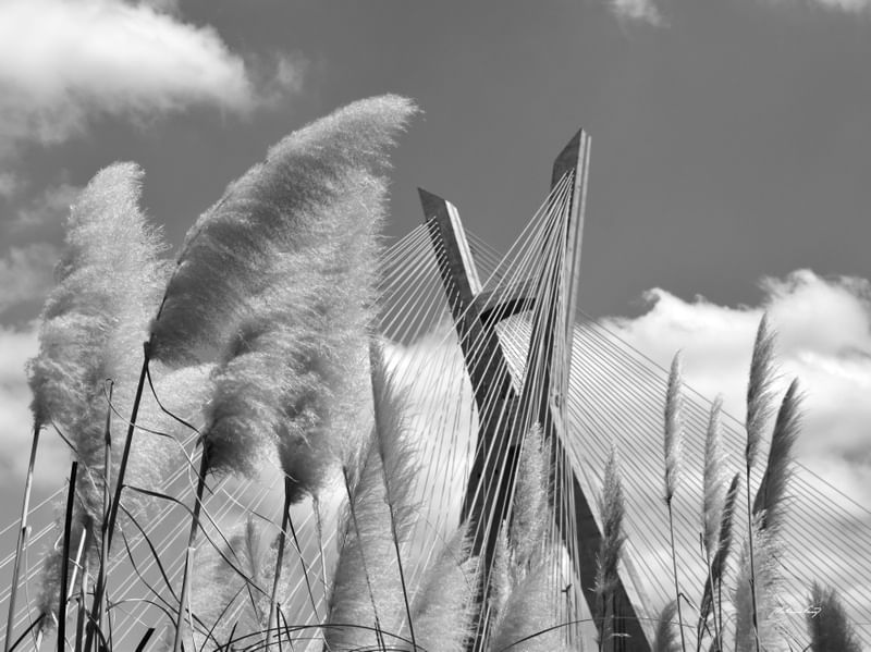 PONTE ESTAIADA - SÃO PAULO (PB)