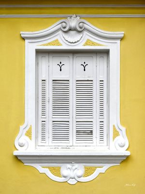 JANELA DE CAMPINAS