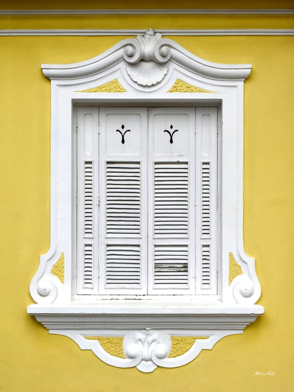 JANELA DE CAMPINAS