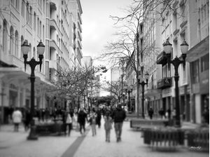 CENTRO DE CURITIBA - 1