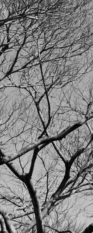 CHEGADA DO INVERNO - TRÍPTICO 2-3 - PB