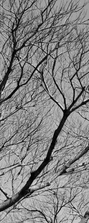 CHEGADA DO INVERNO - TRÍPTICO 3-3 - PB
