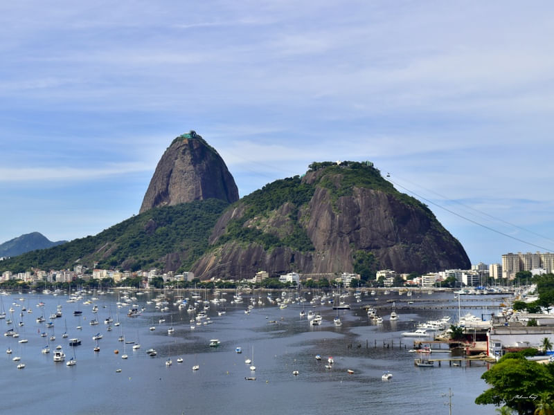 SÍMBOLO DO RIO