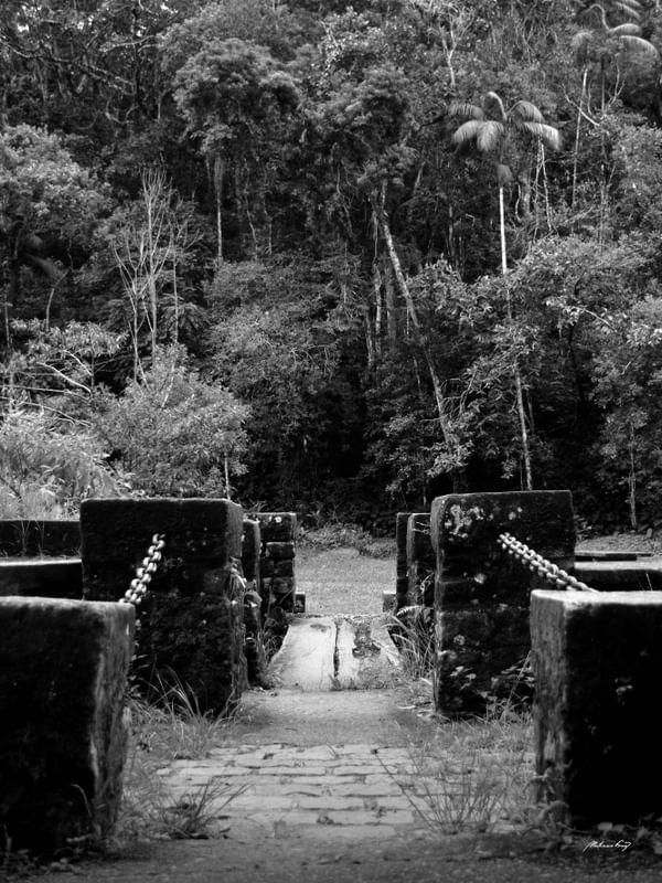 NA FLORESTA DA TIJUCA - PB