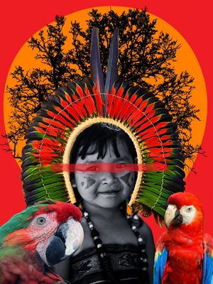 BRASILIDADE MINHA INDIA