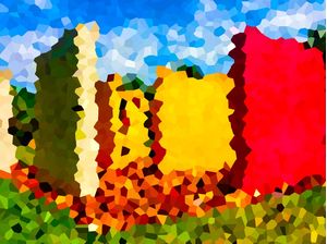CORES DE INHOTIM