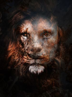 LION ON