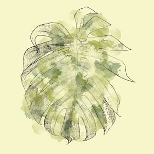FOLHA AQUARELA VERDE