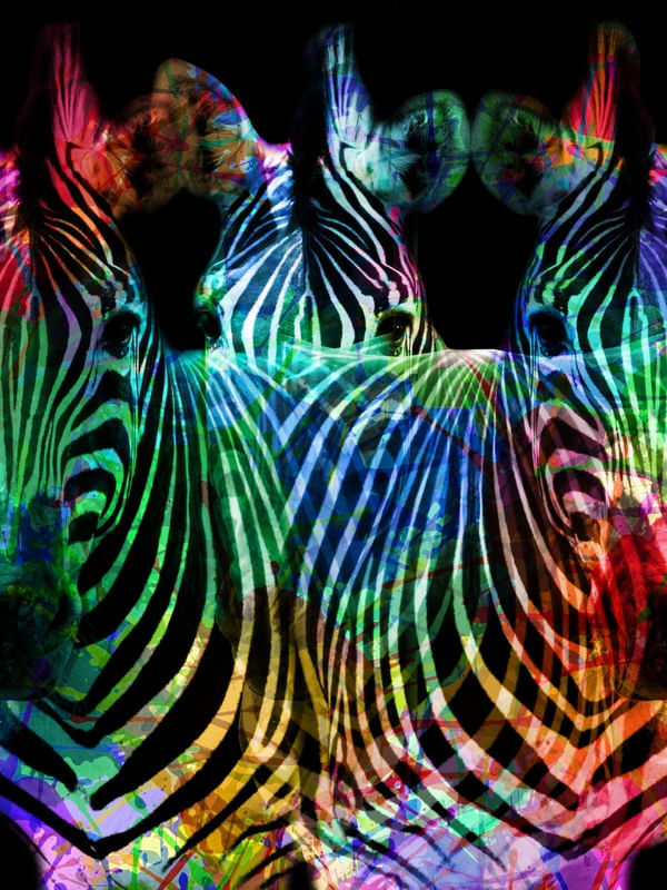 ANIMALS COLORS 001