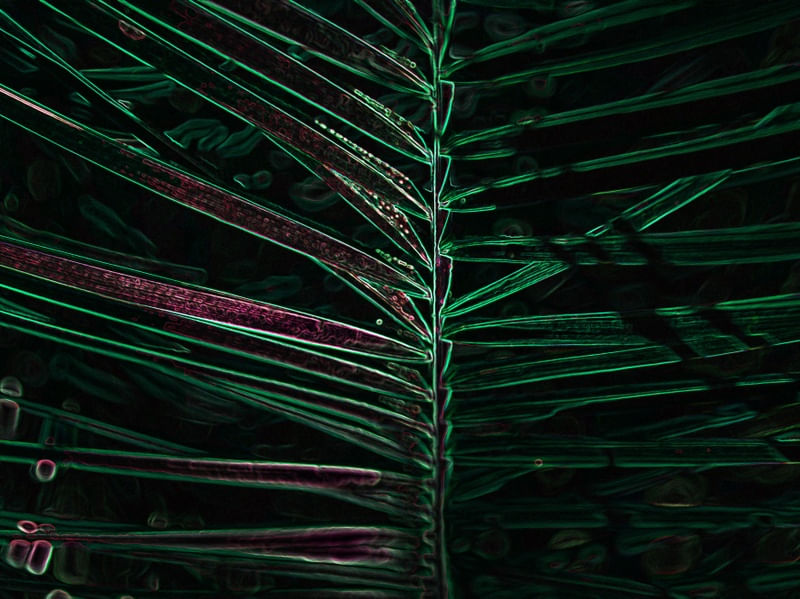 FOLHAGEM DETALHES ROSA