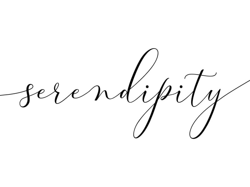 SERENDIPITY MINIMALISTA