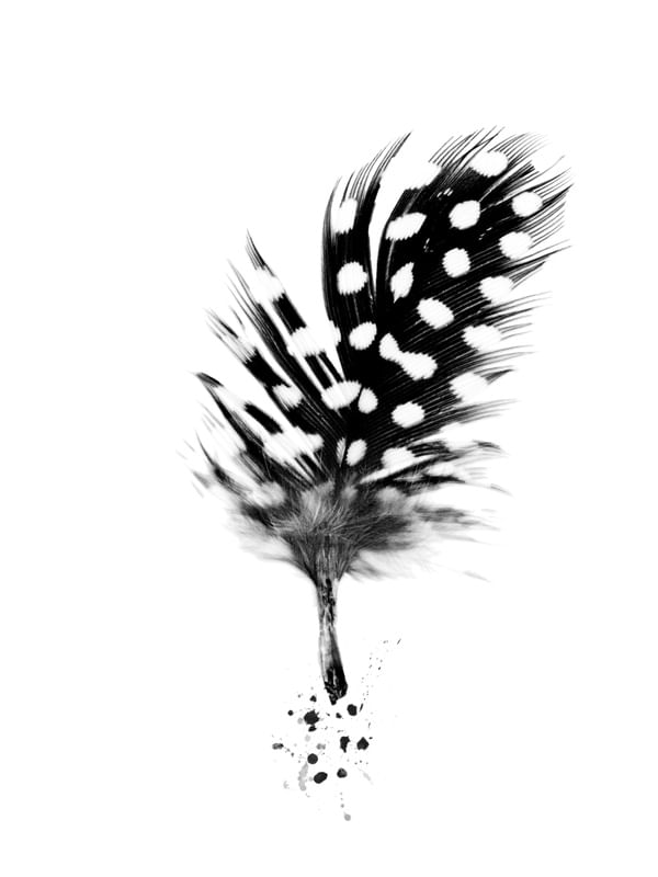 PENA TINTA PRETA