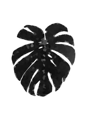 COSTELA DE ADÃO PRETO CRISTAL