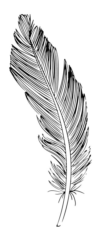 PENA DESENHO