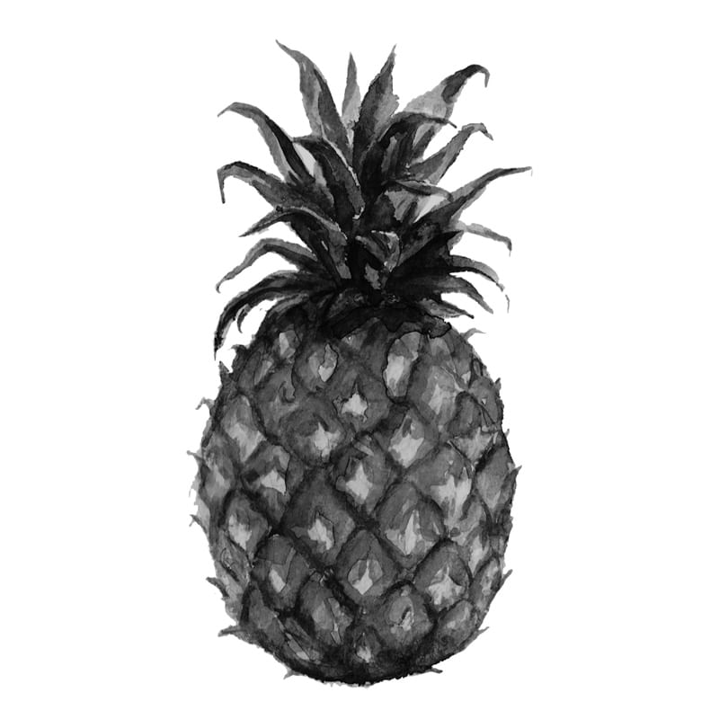 ABACAXI DESENHO