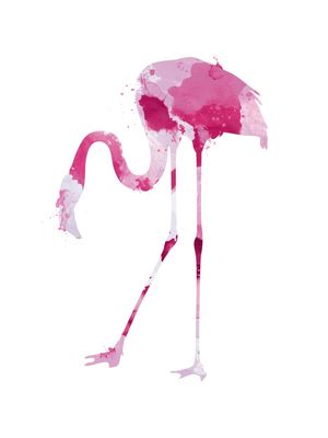 FLAMINGO AQUARELA