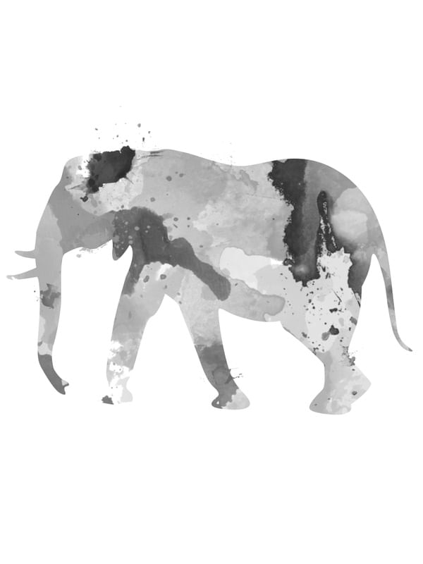 ELEFANTE AQUARELA