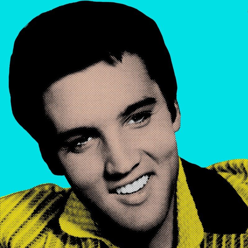 ELVIS POP ART
