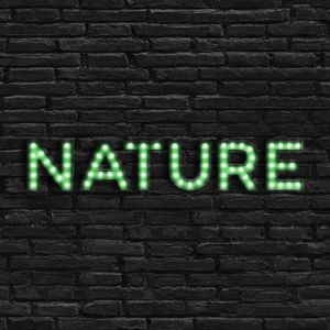 LUMINOSO NATURE