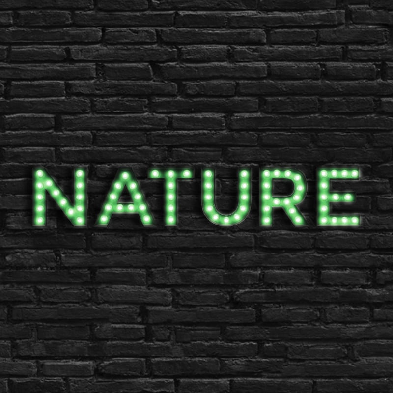 LUMINOSO NATURE