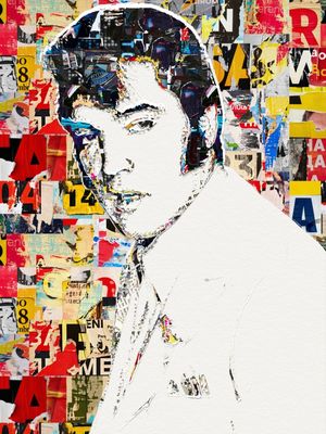 ELVIS COLLAGE