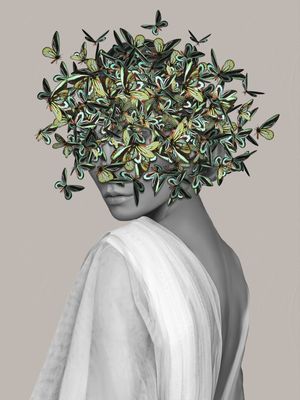 LADY BUTTERFLIES