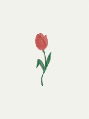 TULIPA TRIO 3
