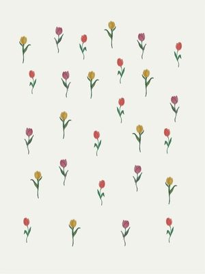 TULIPAS TRIO 4