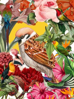 TROPICAL BIRDS COLLAGE