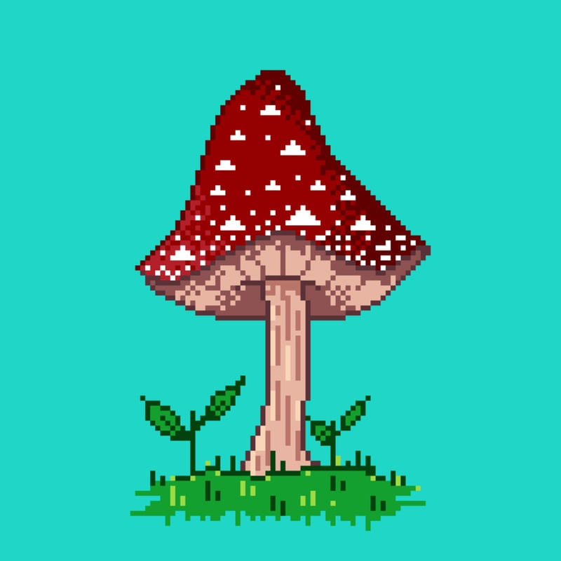COGUMELO MAGICO