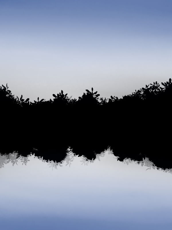 MARGENS DO LAGO