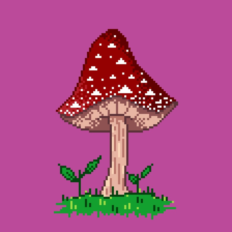 COGUMELO FANTASIA