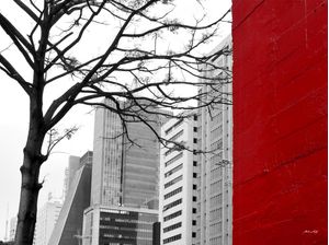 VERMELHO NA PAULISTA