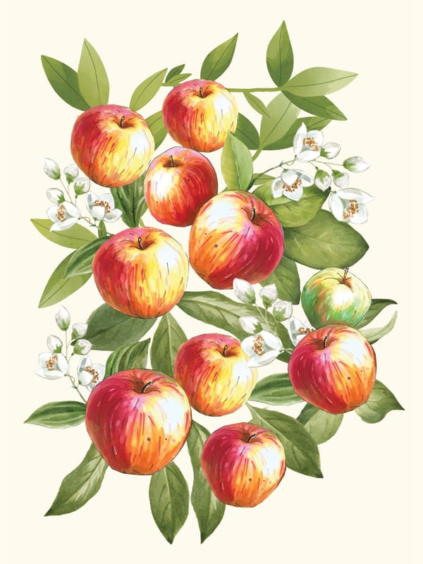 WATERCOLOR APPLES