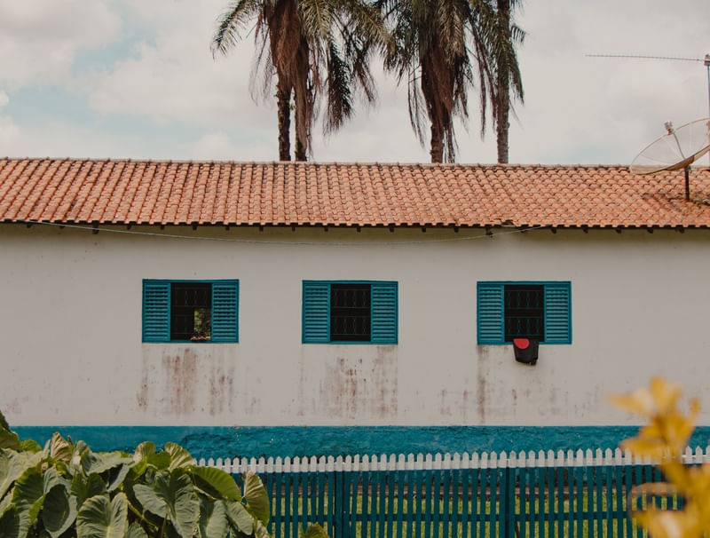 PAISAGEM DE VIDA NO CAMPO