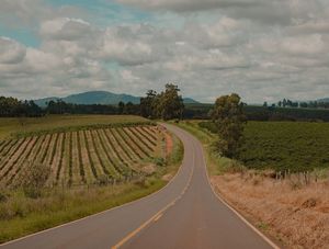 ESTRADA EM DIREÇÃO À FLORESTA